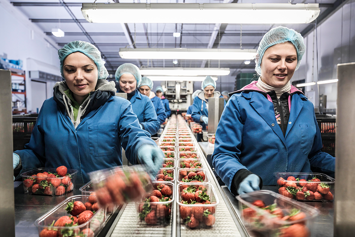 Food Packing Jobs Brisbane At Mae Burley Blog